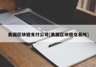 美国区块链支付公司[美国区块链交易所]